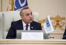 Fransanın dağıdıcı fəaliyyəti Avropanın sülh təşəbbüslərini heçə endirir