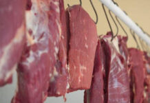 146 kq at ətini mal əti adı ilə Bakıda satacaqdılar – Foto