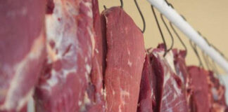 146 kq at ətini mal əti adı ilə Bakıda satacaqdılar – Foto