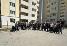 Binəqədi rayonunda növbəti ağacəkmə aksiyası keçirilib – Foto