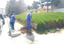 Paytaxtda növbəti genişmiqyaslı təmizlik işləri aparılıb – Foto