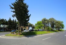 Binəqədidə abadlıq və quruculuq işləri davam etdirilir – Foto