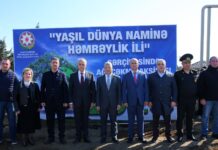 Binəqədidə növbəti ağacəkmə aksiyası – Fotolar