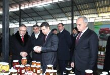 Binəqədidə “KOB bazar” satış yarmarkası fəaliyyətə başlayıb – FOTO