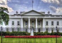 Zəngəzur dəhlizindən keçən “Tramp marşrutu”: Cənubi Qafqazda güc balansı dəyişir