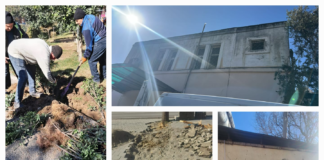 Binəqədidə abadlıq-quruculuq işləri aparılır – Foto