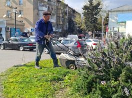 Binəqədi rayonunda ümumrayon iməciliyi keçirilib – FOTO
