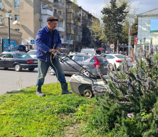 Binəqədi rayonunda ümumrayon iməciliyi keçirilib – FOTO