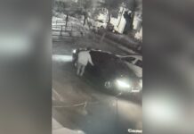 Sükan arxasında yatan sürücünün telefonunu oğurladı – Anbaan video ogurluq-baki